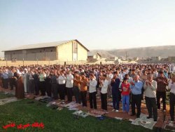 خامی، باشت،